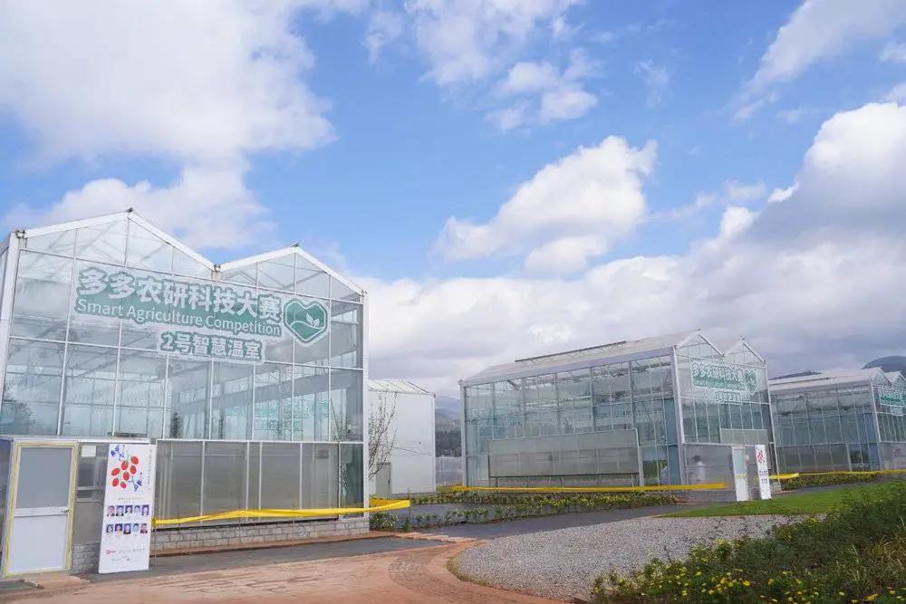 拼多多Q3财报研发投入增长_拼多多运营培训_拼多多重技术轻营销转型