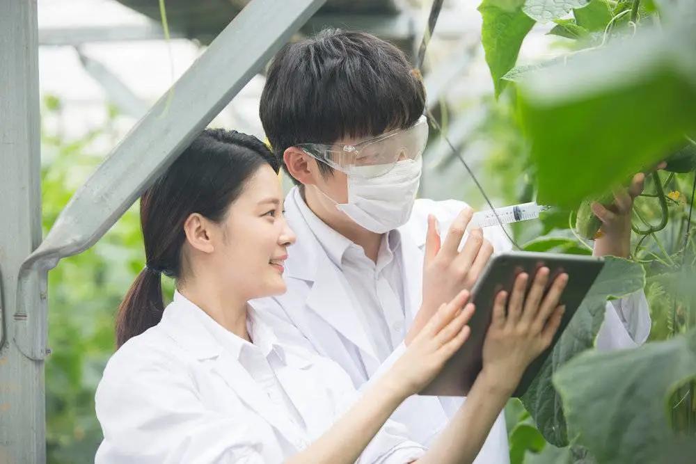 拼多多运营培训_拼多多Q3财报研发投入增长_拼多多重技术轻营销转型