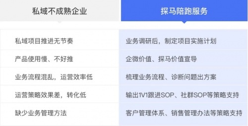 新媒体陪跑_私域运营策略落地支持_探马SCRM客户陪跑服务