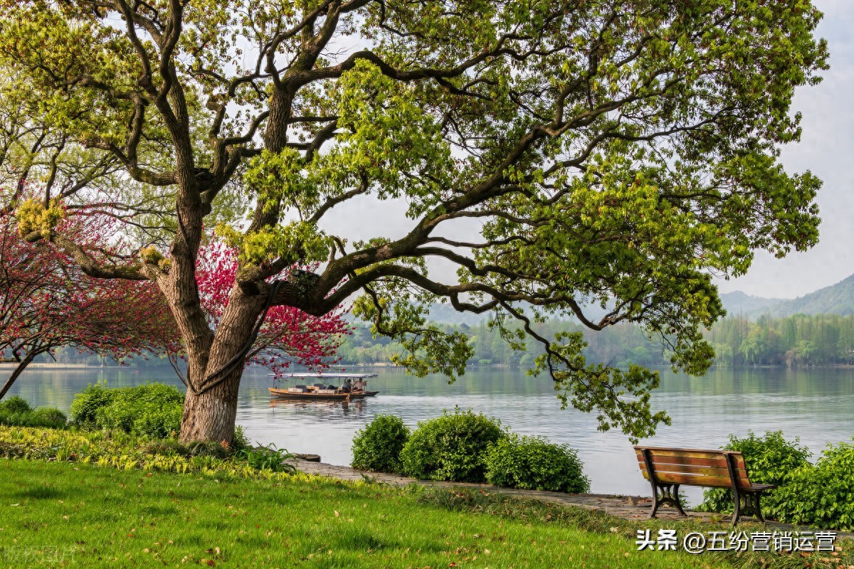 网络营销培训 网络营销零基础培训收费多少钱