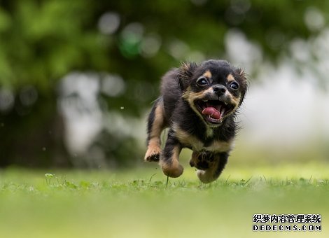 短视频营销的概念及优势